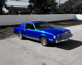 Liquid Metal Blueberry