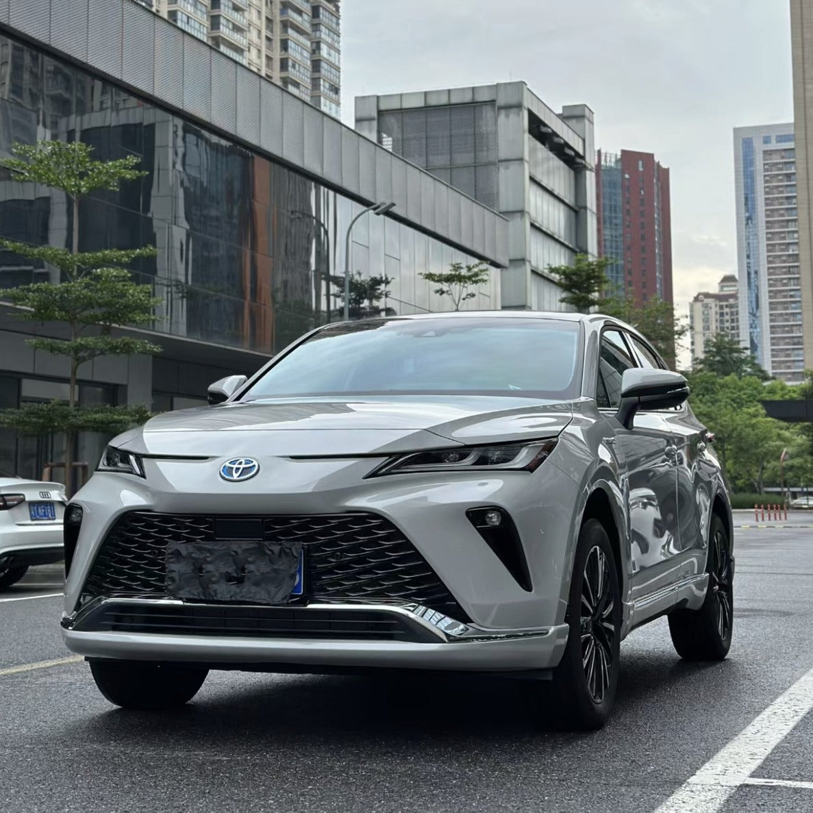 Crystal Gement Grey（CR24-P)