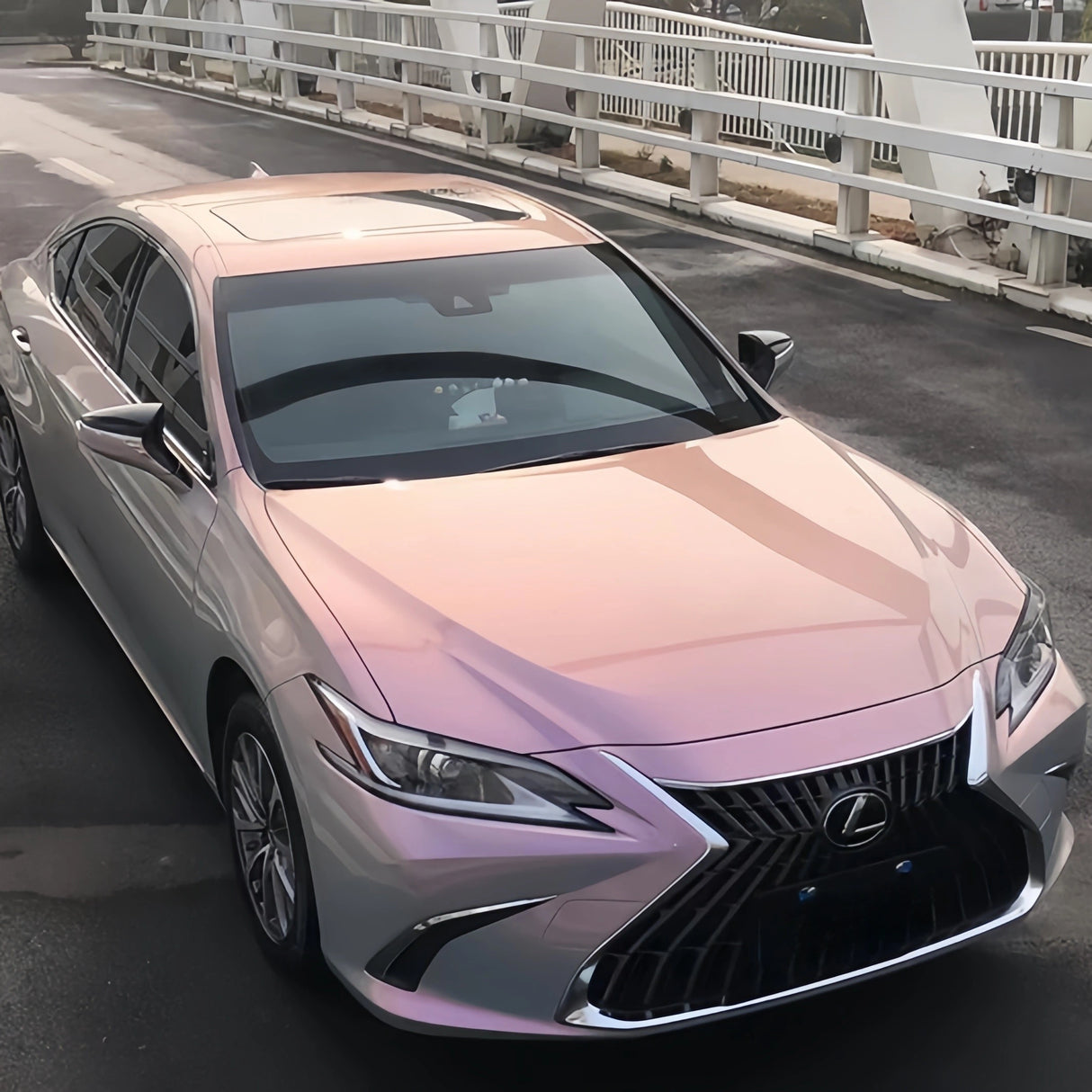 Gray Pink