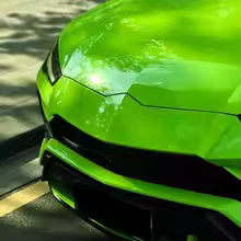 Crystal Lizard Green